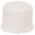 Proplus PVC THREADED PIPE CAP, 1/2 IN 2906164